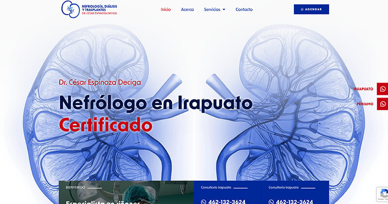 Nefrólogo-Dr-César-Espinoza-Deciga-seo_3-800x422px