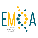 Emoa-seo_1-800x800px